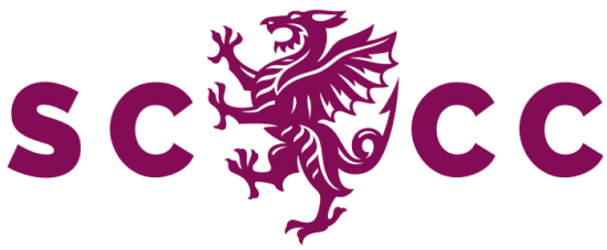 Name:  SOMERSET CRICKET LOGO.png
Views: 256
Size:  40.9 KB