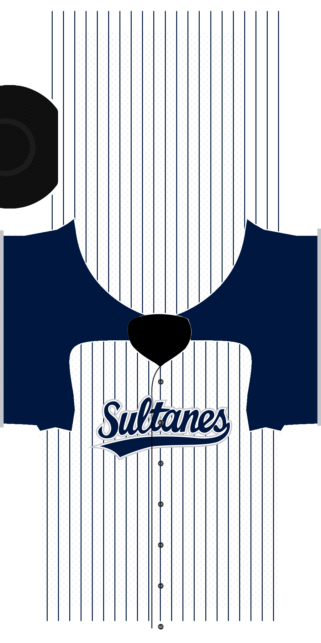 Name:  jerseys_monterrey_sultanes.png
Views: 90
Size:  443.2 KB