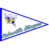 Name:  Cedearville Stingers.png
Views: 536
Size:  13.4 KB