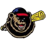 Name:  th_bears_B29666_020107_FFFFFF_B29666_B.png
Views: 234
Size:  27.1 KB