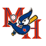 Name:  (1978-2002) Medicine Hat_Blue Jays.png
Views: 960
Size:  16.1 KB