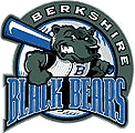 Name:  BBBearslogo.png
Views: 802
Size:  5.2 KB