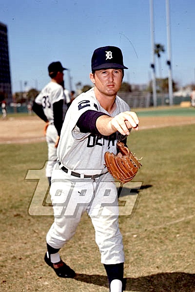 Name:  Bob_Reed 1969ST-fg370 edit.jpg
Views: 1480
Size:  71.4 KB