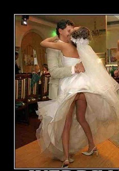 Name:  drunk-bride1.jpg
Views: 252
Size:  28.7 KB