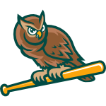 Name:  Forest_City_Owls_024b44_d7ae80.png
Views: 907
Size:  13.7 KB