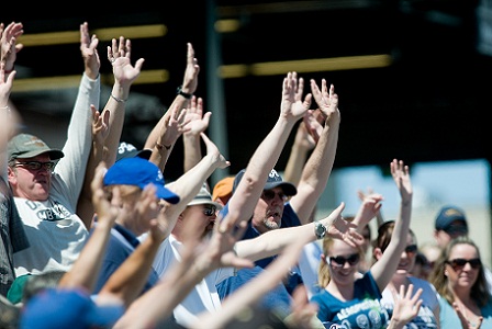 Name:  fans.jpg
Views: 151
Size:  65.4 KB