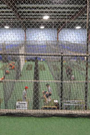 Name:  HPbattingcage01.png
Views: 1357
Size:  26.5 KB