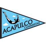 Name:  Acapulco_Clavadistas_71CEF5_000000.png
Views: 211
Size:  14.3 KB