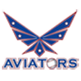 Name:  aviators.png
Views: 122
Size:  36.7 KB