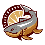 Name:  San_Jose_Steelheads_b16d24_4c0000.png
Views: 1505
Size:  29.4 KB