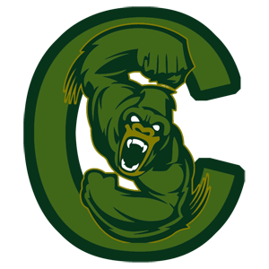 Name:  congo_silverbacks5_07331a_406618.png
Views: 422
Size:  56.9 KB