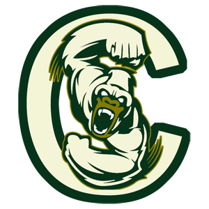 Name:  congo_silverbacks7_07331a_f4f4d7.png
Views: 419
Size:  68.7 KB