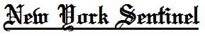 Name:  New York Sentinel.PNG
Views: 107
Size:  2.5 KB