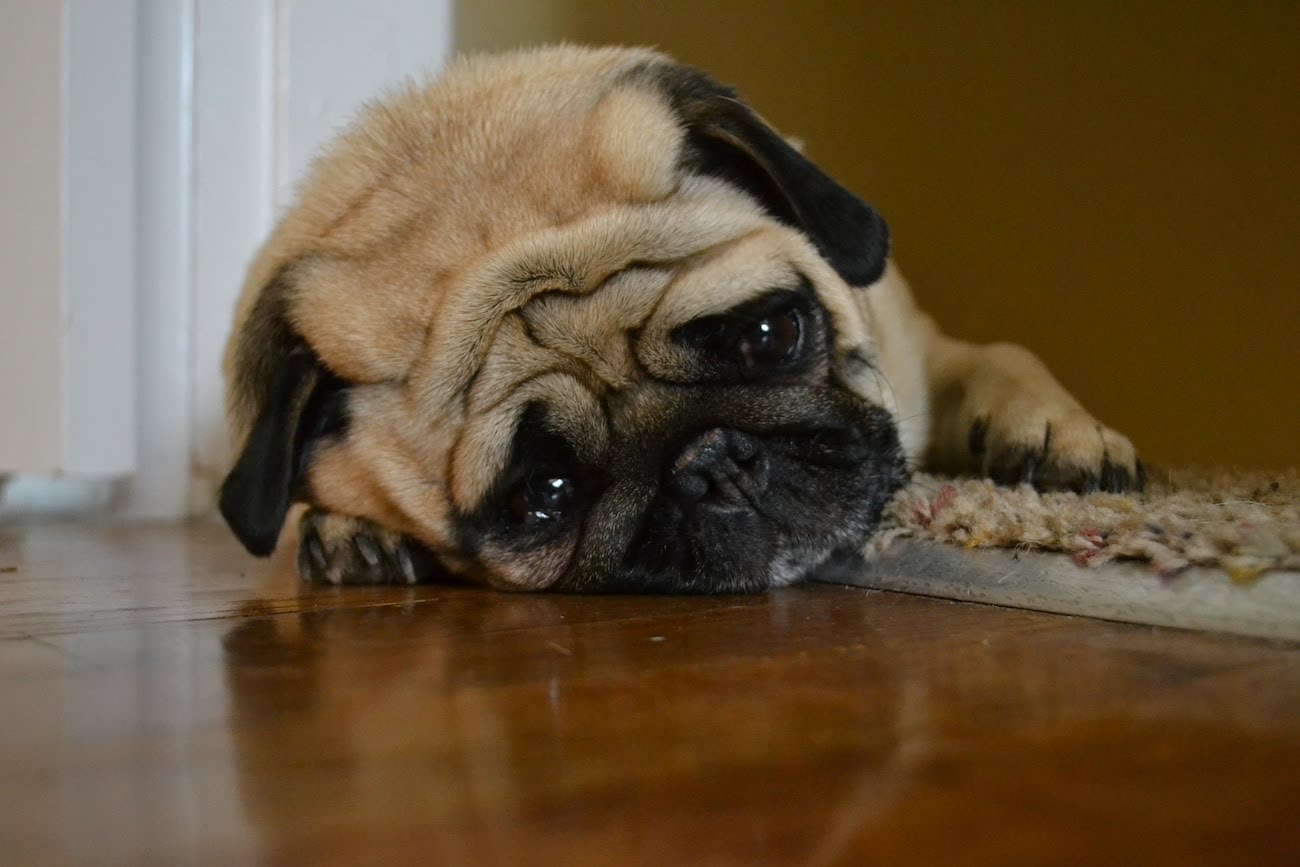 Name:  sad.jpg
Views: 473
Size:  130.7 KB