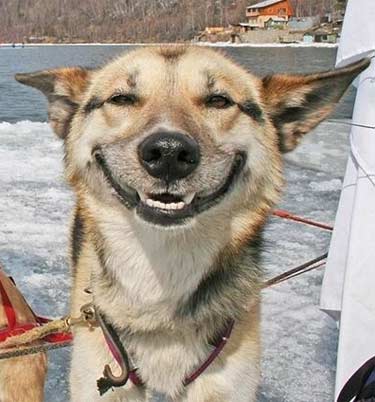 Name:  happy.jpg
Views: 491
Size:  25.9 KB