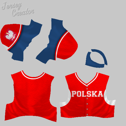 Name:  jerseys_POLAND.png
Views: 2641
Size:  125.2 KB