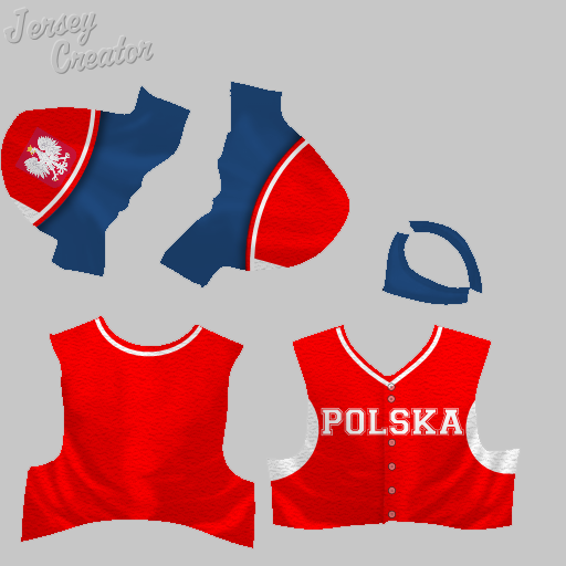 Name:  jerseys_POLAND.png
Views: 2213
Size:  125.2 KB