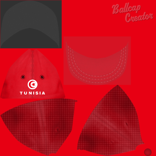 Name:  caps_TUNISIA.png
Views: 393
Size:  217.8 KB