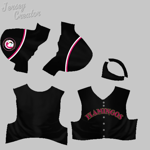 Name:  jerseys_florida_flamingos_32_alt_2.png
Views: 2001
Size:  70.6 KB