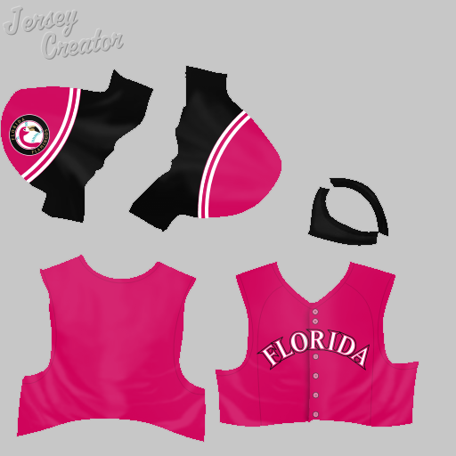 Name:  jerseys_florida_flamingos_32_alt_7.png
Views: 2000
Size:  95.3 KB