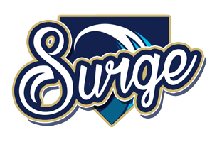 Name:  OOB_Surge.png
Views: 717
Size:  40.8 KB