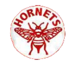Name:  pittsburgh_hornets.png
Views: 4109
Size:  28.0 KB
