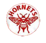 Name:  pittsburgh_hornets.png
Views: 3205
Size:  28.0 KB