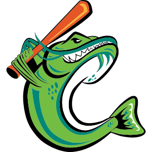 Name:  Cape_Catfish_small.png
Views: 2912
Size:  50.4 KB