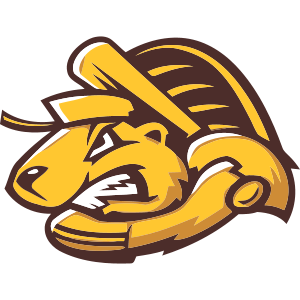 Name:  Rowdy_Beavers_493125_ffc82f.png
Views: 1108
Size:  40.6 KB