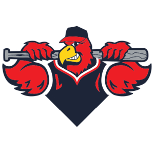 Name:  New_York_Cardinals_small.png
Views: 1244
Size:  43.0 KB