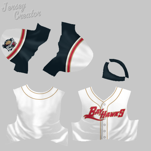 Name:  jerseys_erie_bayhawks.png
Views: 643
Size:  94.5 KB