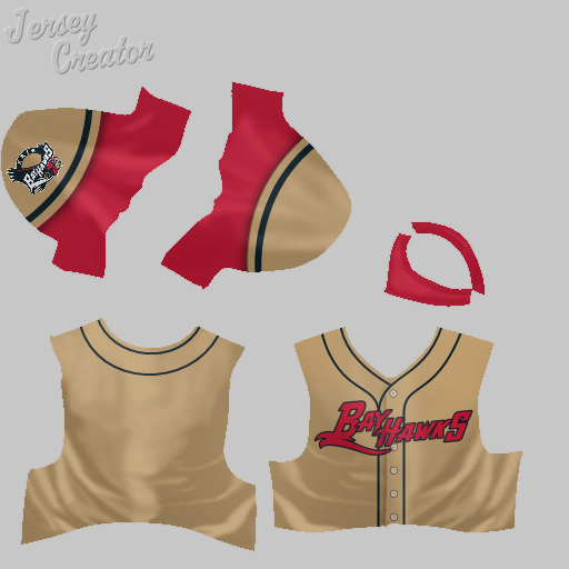 Name:  jerseys_erie_bayhawks_away.png
Views: 646
Size:  109.8 KB