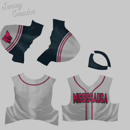 Name:  jerseys_mississauga_raptors_away.png
Views: 695
Size:  99.7 KB