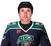 Name:  houston_aeros-AHL.png
Views: 880
Size:  29.0 KB