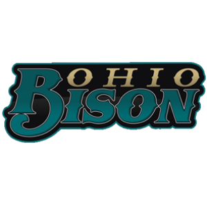 Name:  Ohio_Bisons_07565a_b7a472.png
Views: 1050
Size:  49.1 KB