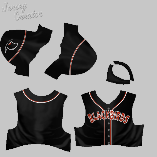 Name:  jerseys_baltimore_blackbirds_alt.png
Views: 397
Size:  85.2 KB