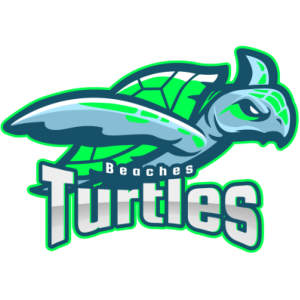 Name:  Beaches_Turtles_165169_00ff4d.png
Views: 808
Size:  60.2 KB