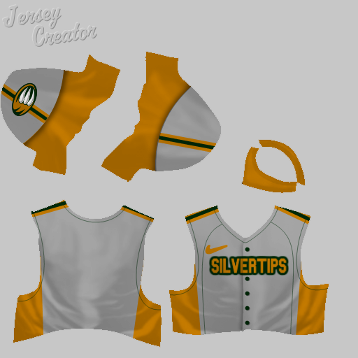 Name:  jerseys_Lincoln_Silvertips_Away_Nickname.png
Views: 276
Size:  87.7 KB