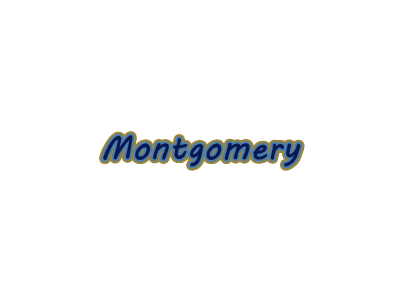 Name:  Montgomery Falcons.png
Views: 344
Size:  10.2 KB