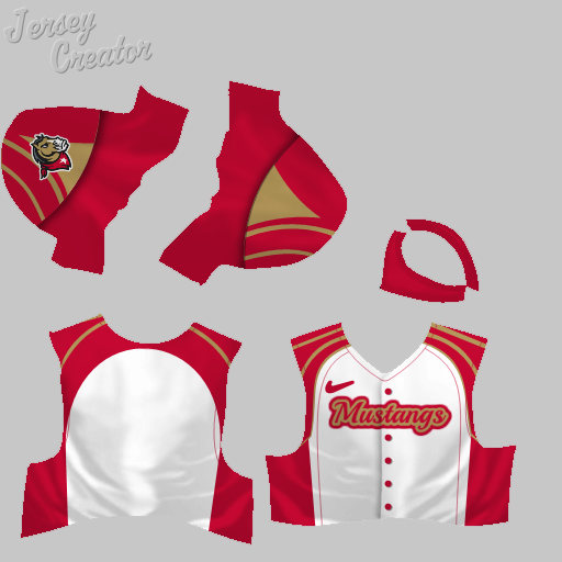 Name:  jerseys_Denver_Mustangs_Home_Nickname.png
Views: 241
Size:  95.1 KB