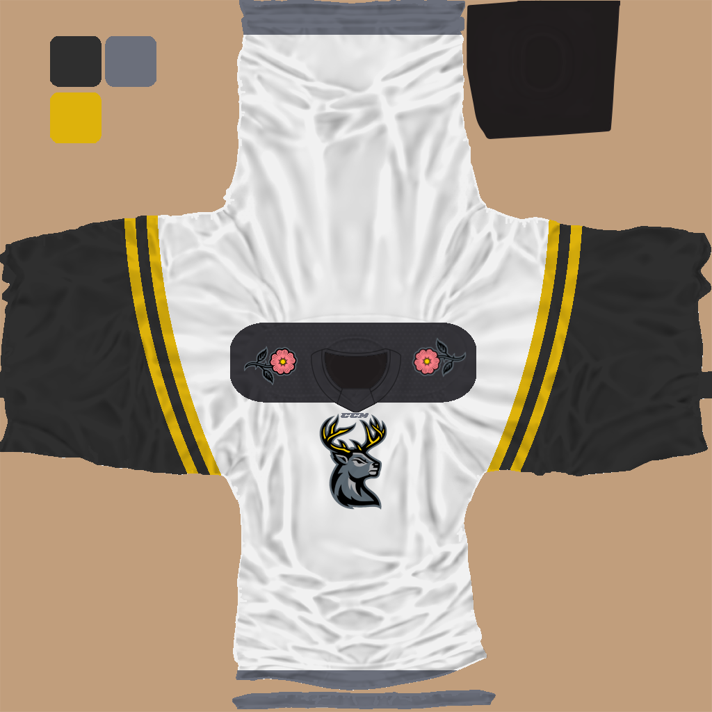Name:  jersey_iowa_heartlanders_away.png
Views: 271
Size:  316.4 KB