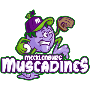 Name:  Mecklenburg_Muscadines_690983_80ca1e.png
Views: 280
Size:  75.8 KB