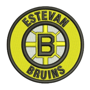 Name:  Estevan_Bruins.png
Views: 755
Size:  152.4 KB