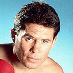 Name:  Julio_Cesar_Chavez_250x250.jpg
Views: 316
Size:  12.6 KB