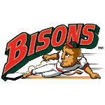 Name:  buffalo_bisons_1998-2008_eb2626_063d2b.png
Views: 3884
Size:  19.3 KB