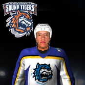 Name:  Bridgeport Sound Tigers Away.png
Views: 2256
Size:  40.3 KB