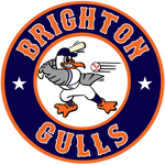 Name:  brighton_gulls_09004a_f06824.png
Views: 1219
Size:  41.1 KB