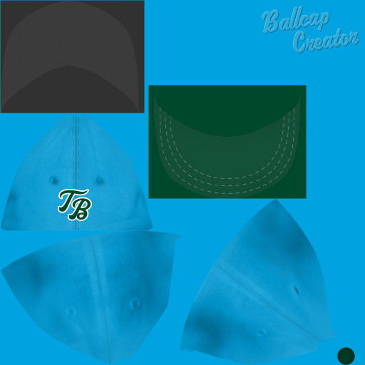 Name:  caps_tampa_bay_tarpons_alt2.png
Views: 2581
Size:  184.8 KB