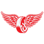 Name:  detroit_redwings.png
Views: 593
Size:  10.9 KB