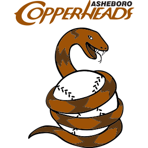 Name:  Asheboro_Copperheads_5e3813_9e5206.png
Views: 856
Size:  42.7 KB